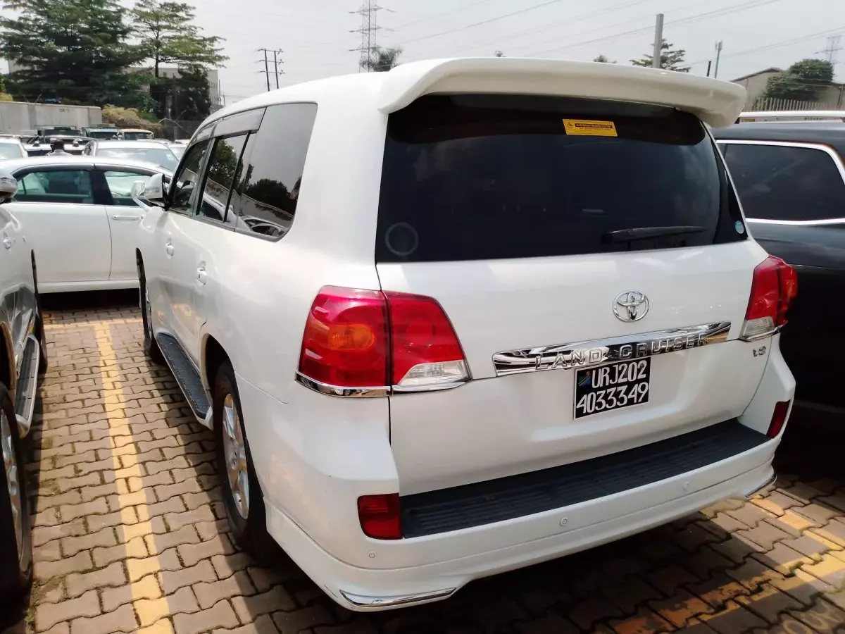 car Back