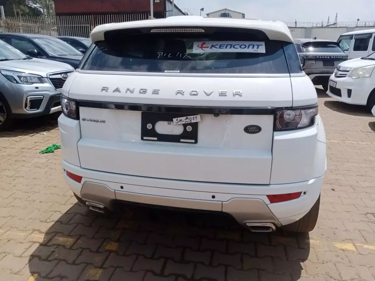 car Back