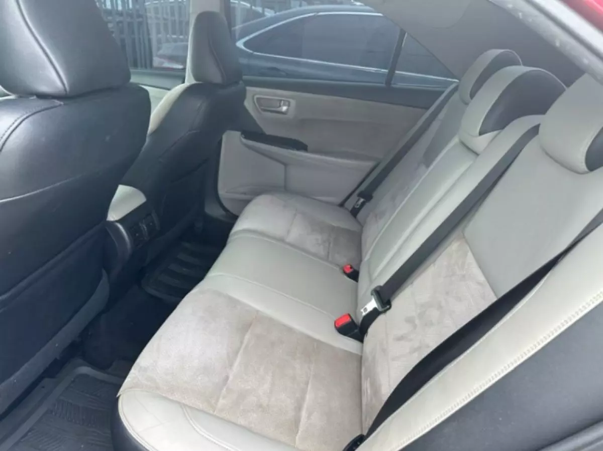 interiorBack
