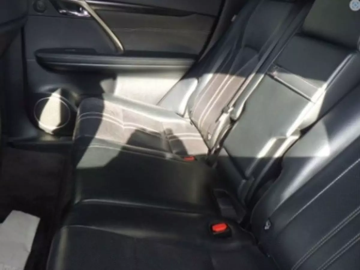 interiorBack