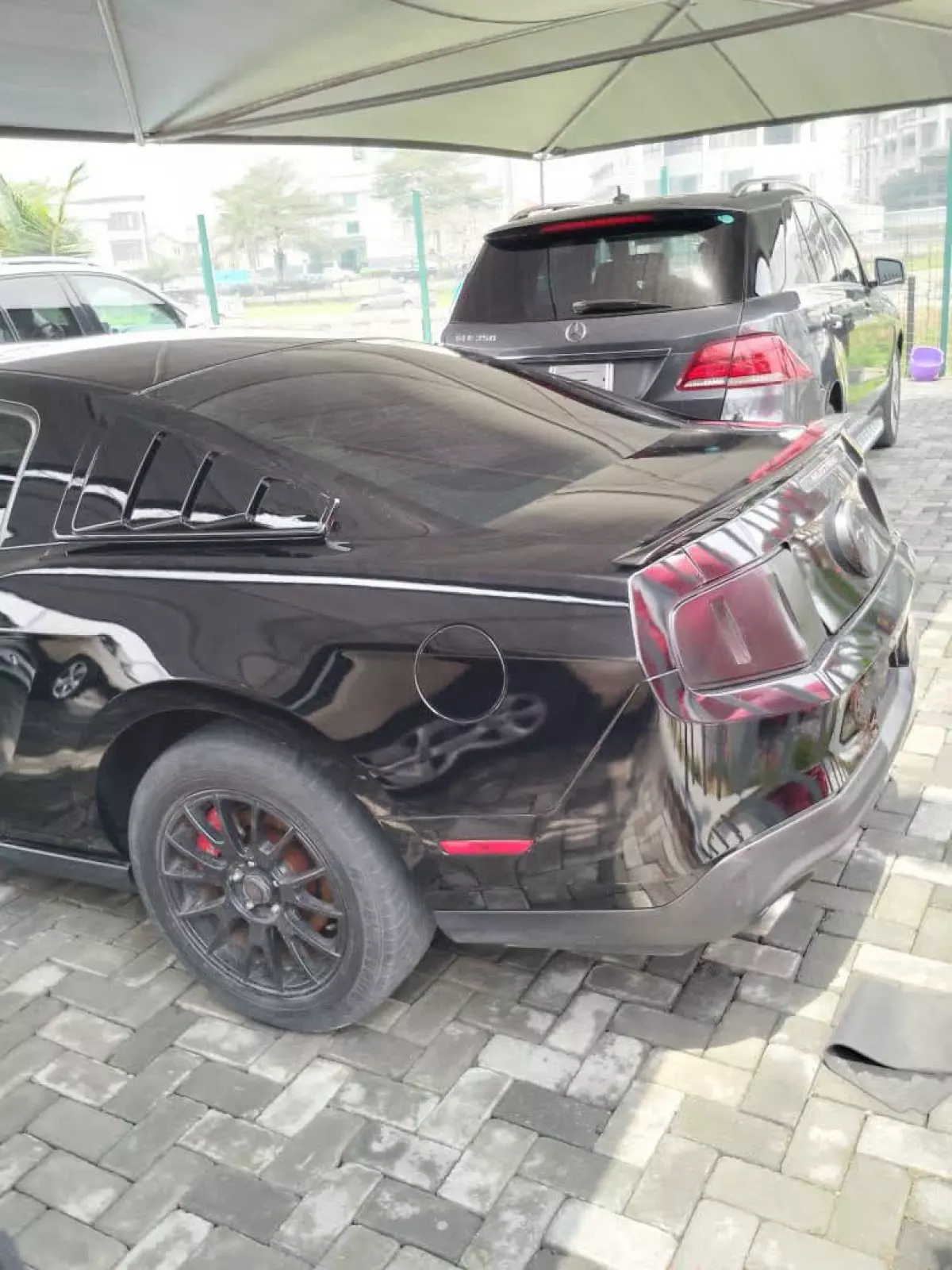 car Back