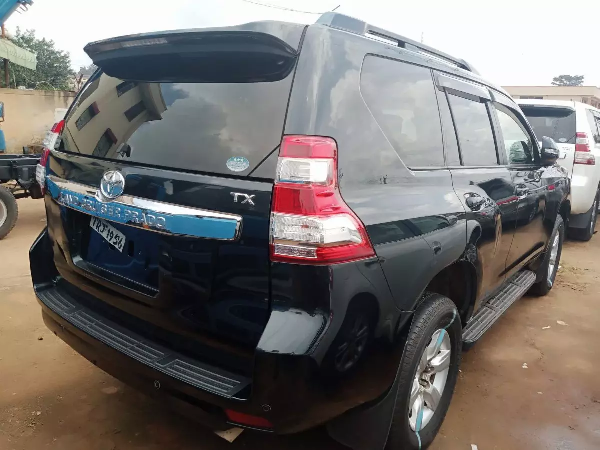 car Back