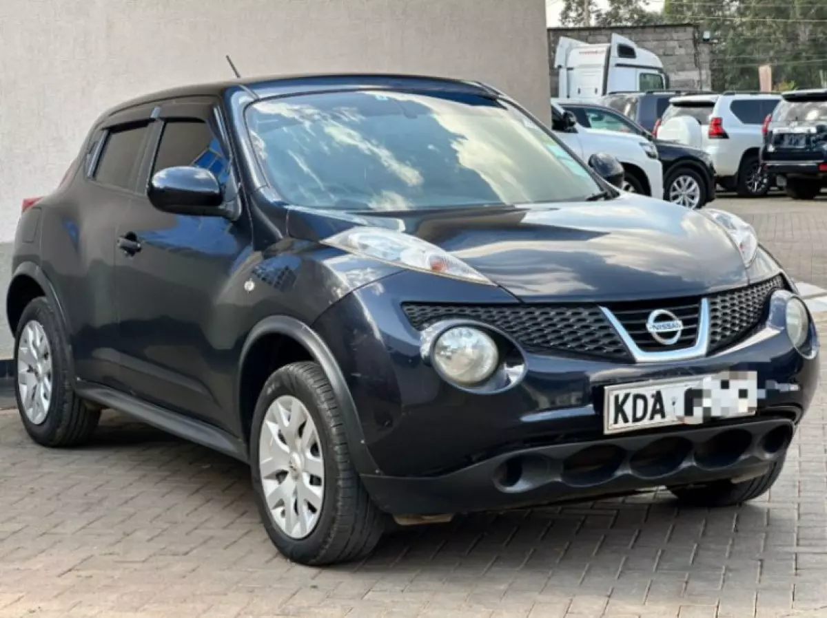 Nissan Juke - 2013