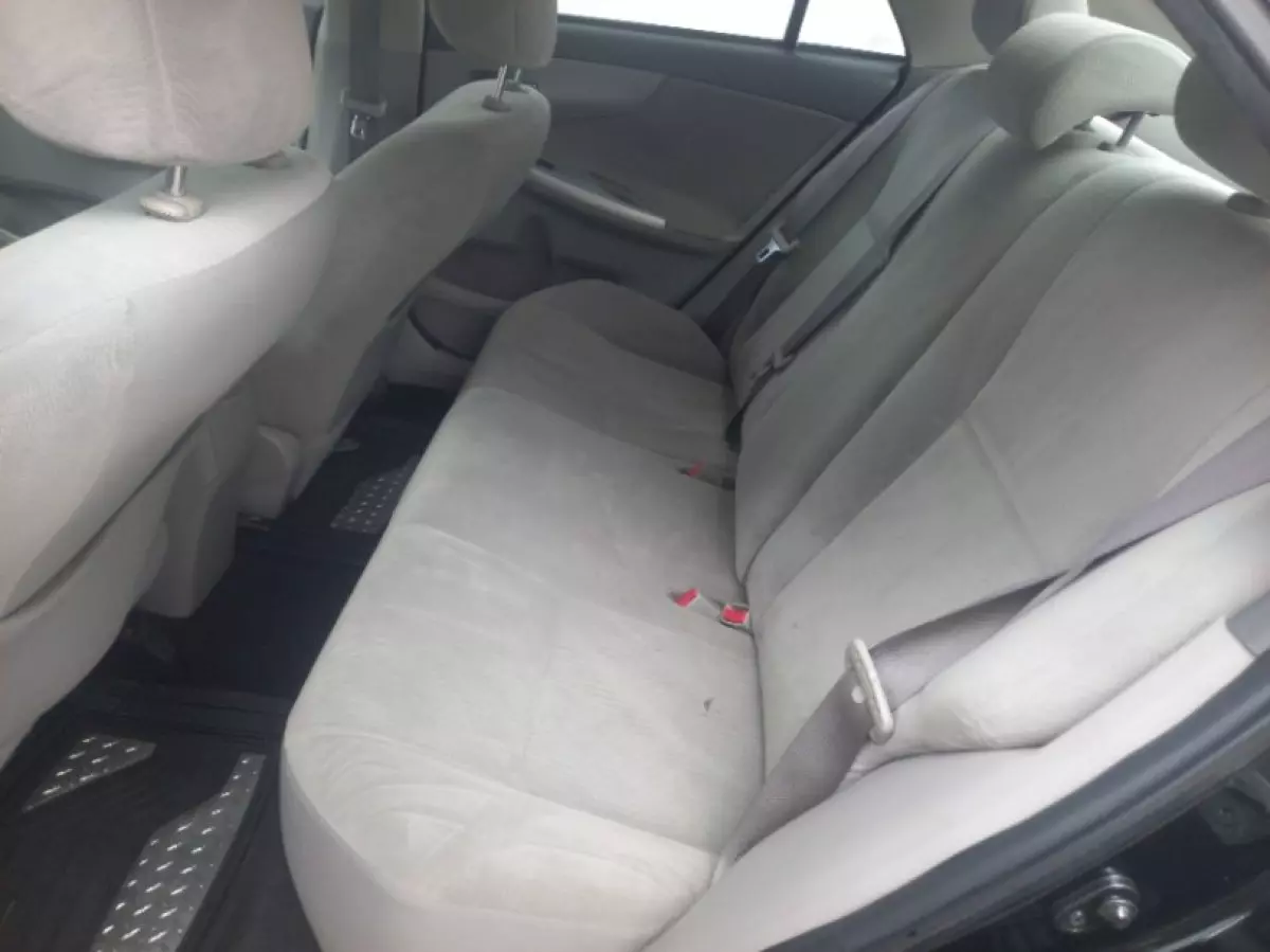 interiorBack