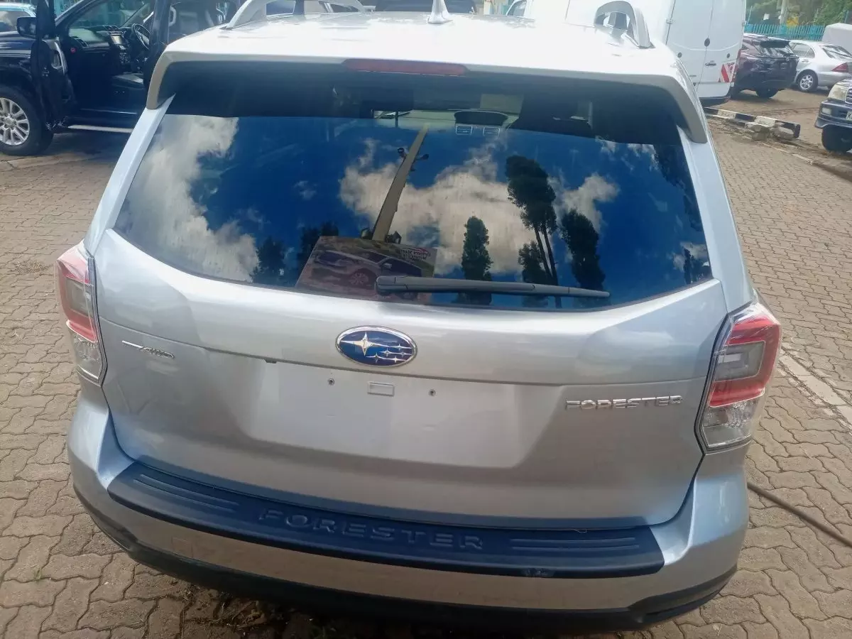 car Back