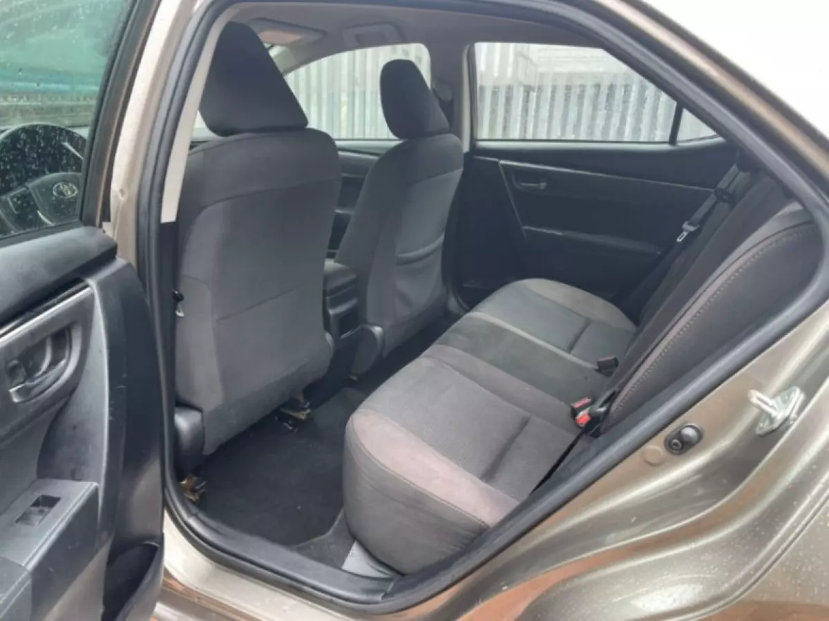 interiorBack