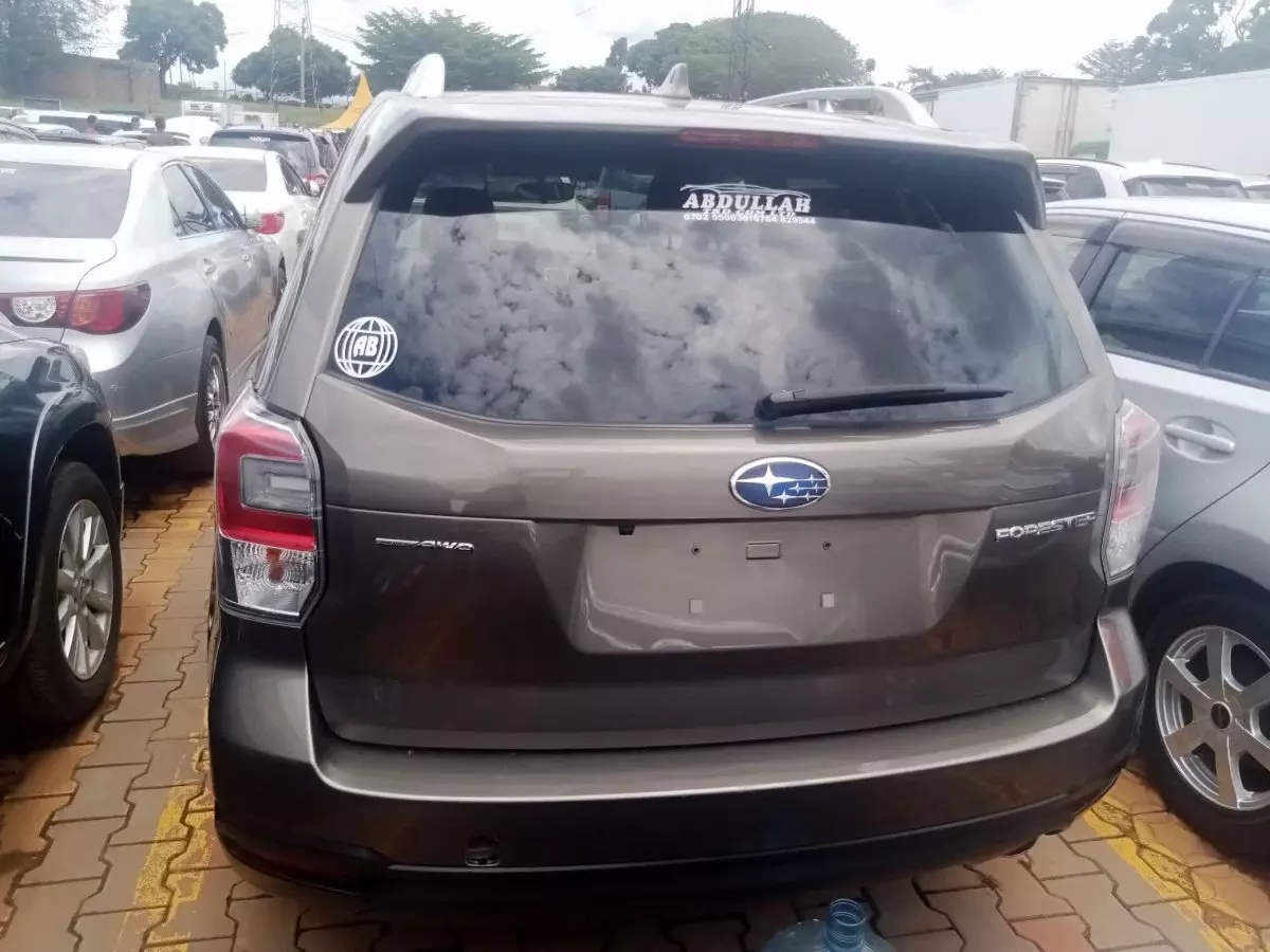 car Back