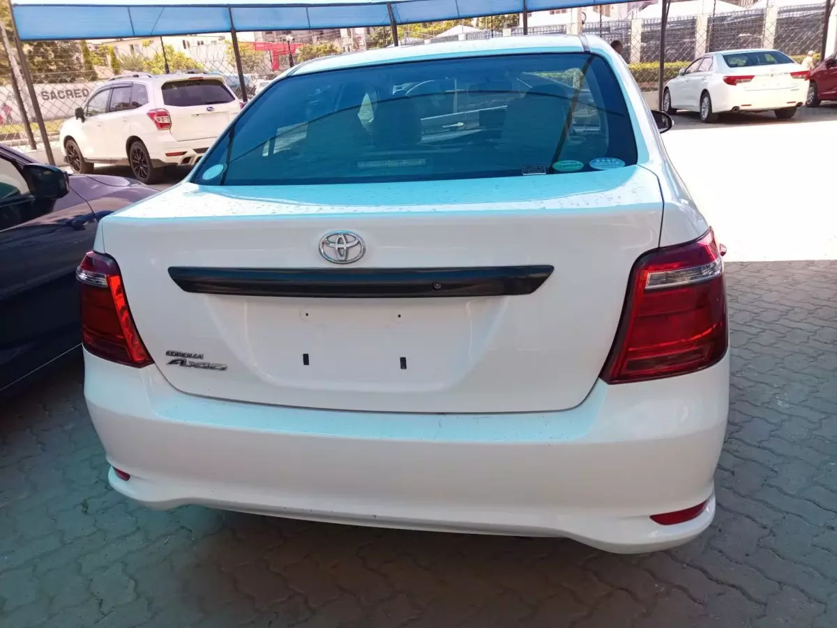 car Back
