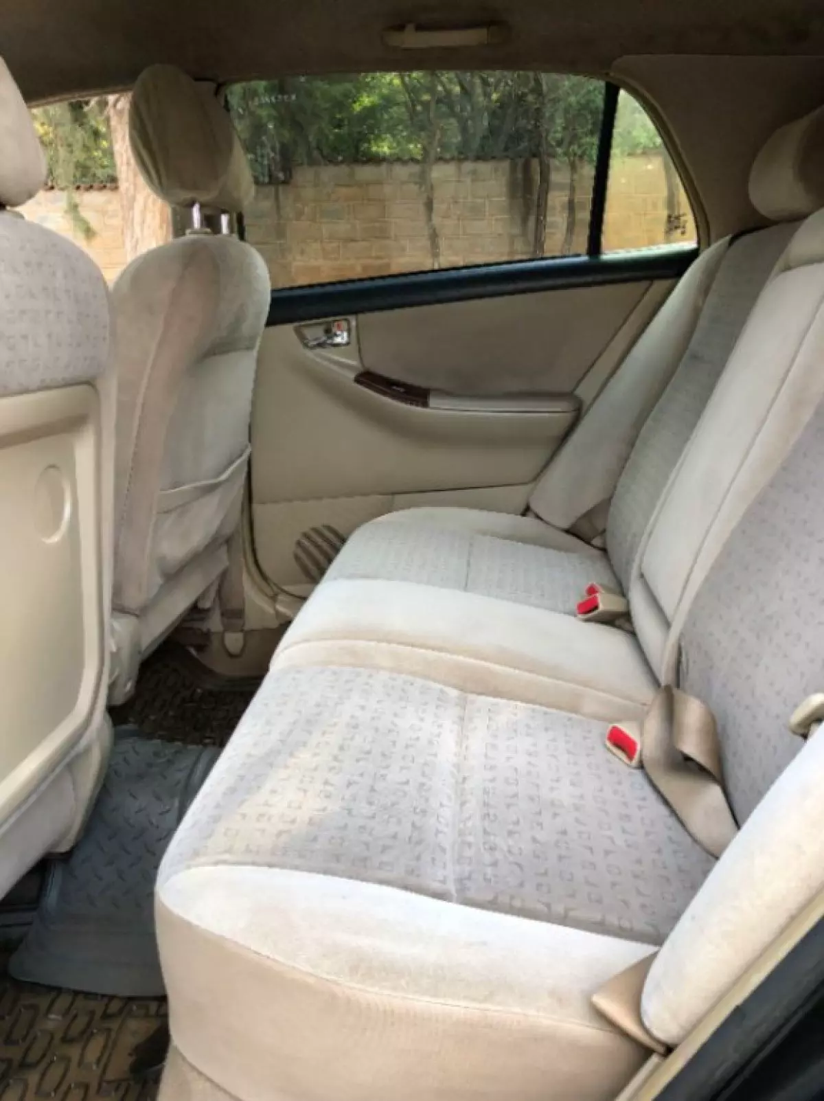 interiorBack