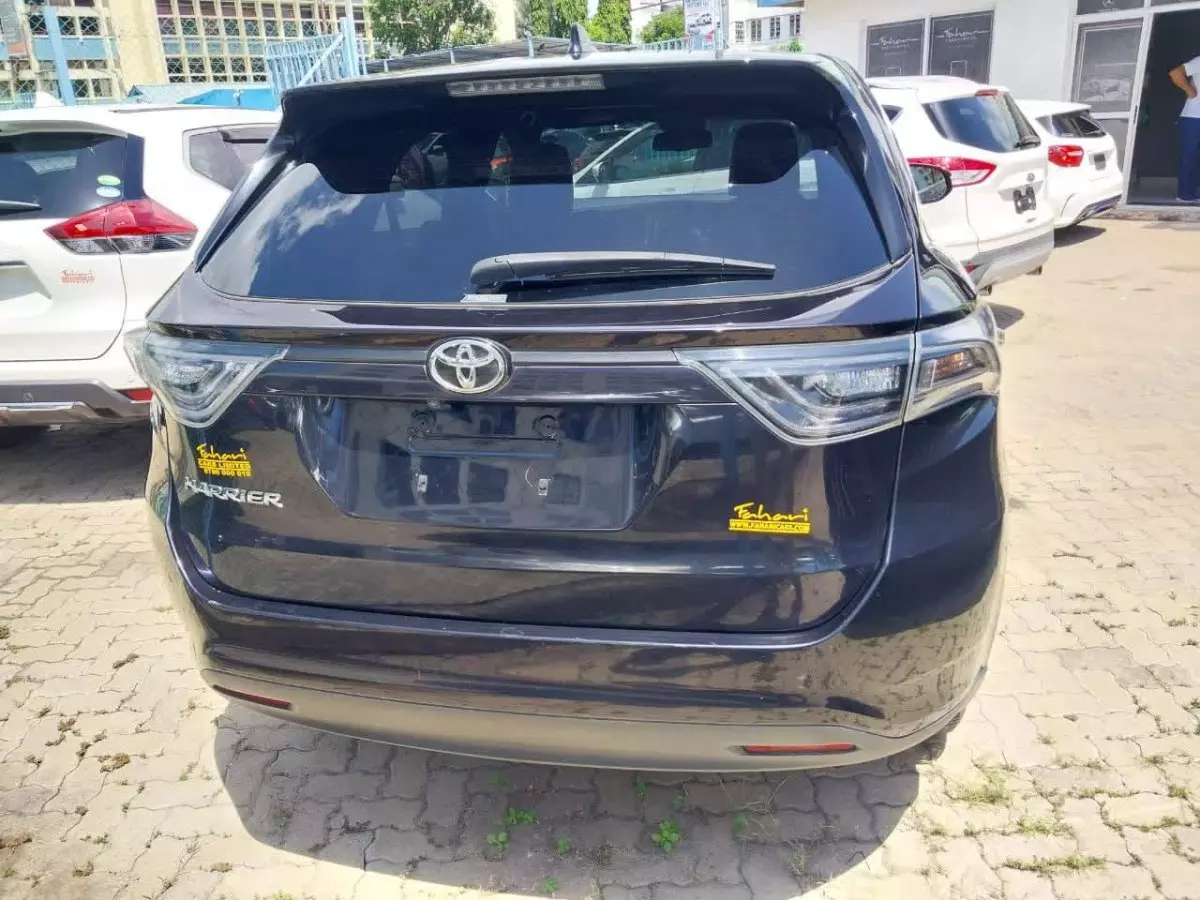 car Back