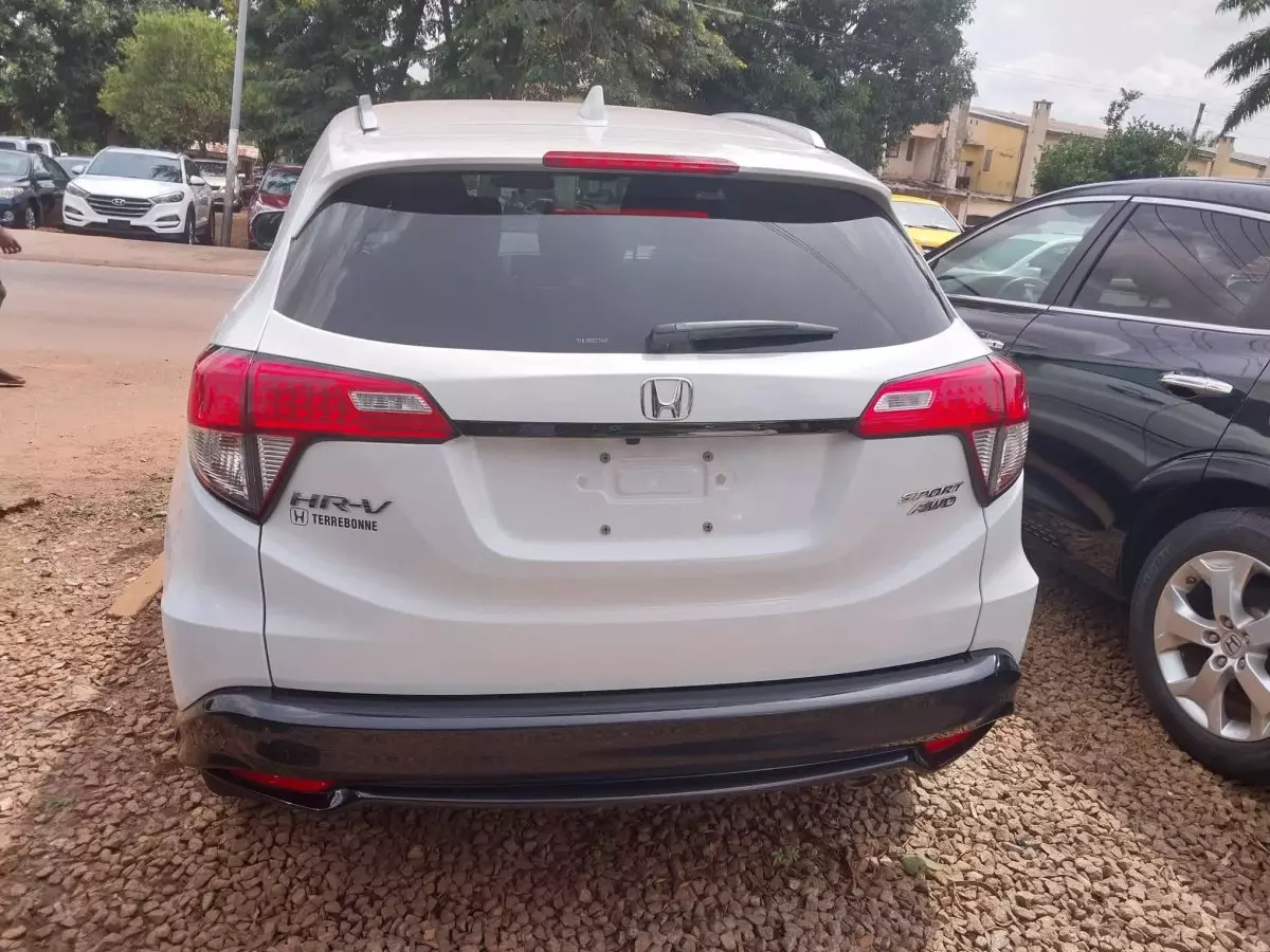 car Back