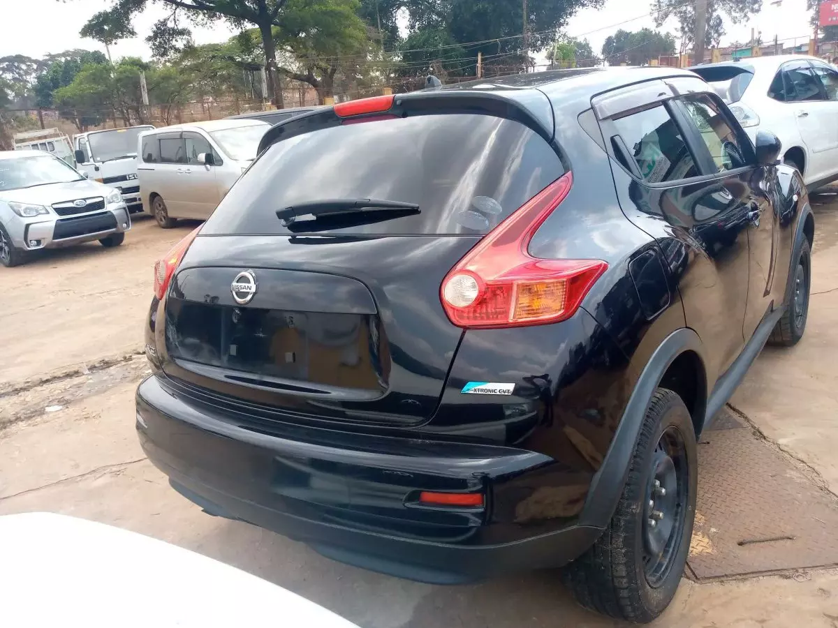 car Back