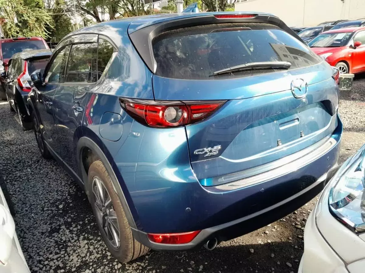 car Back
