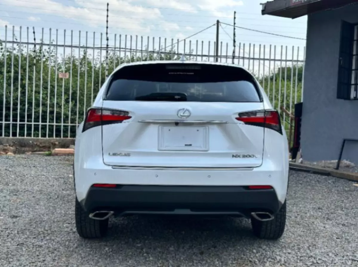 back