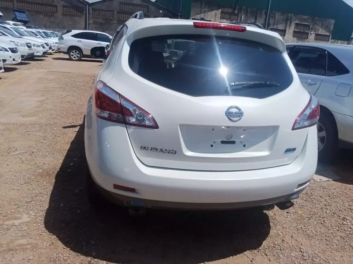 car Back