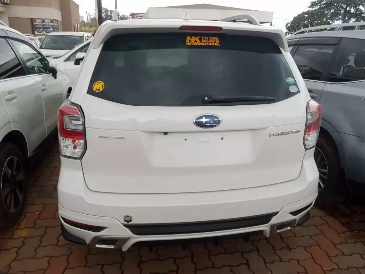 car Back