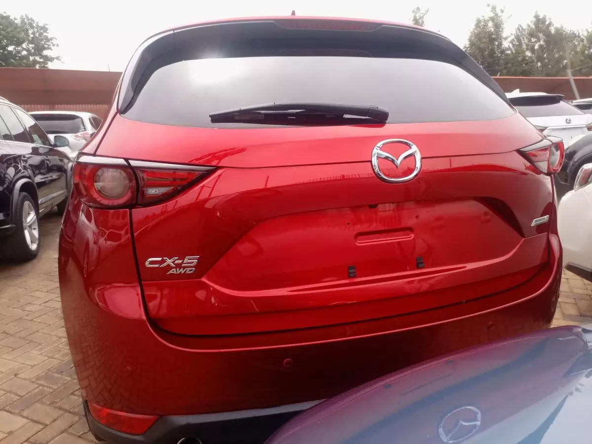 car Back