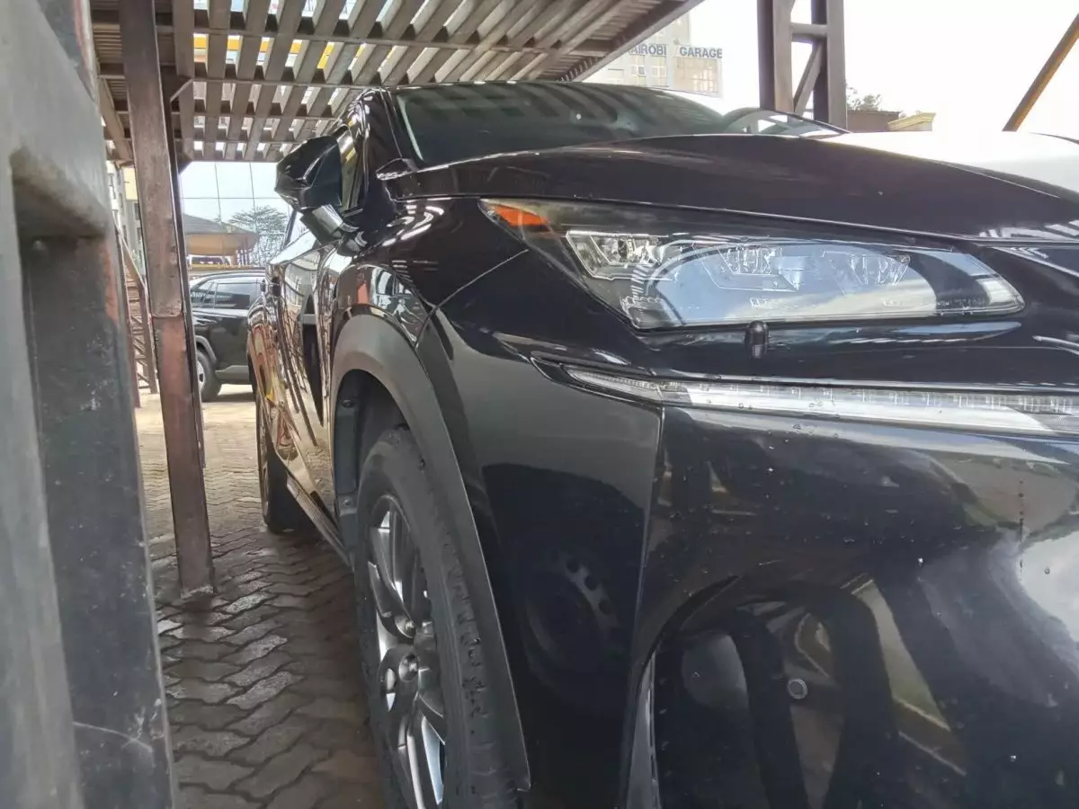 Lexus NX300h Hybrid - 2015