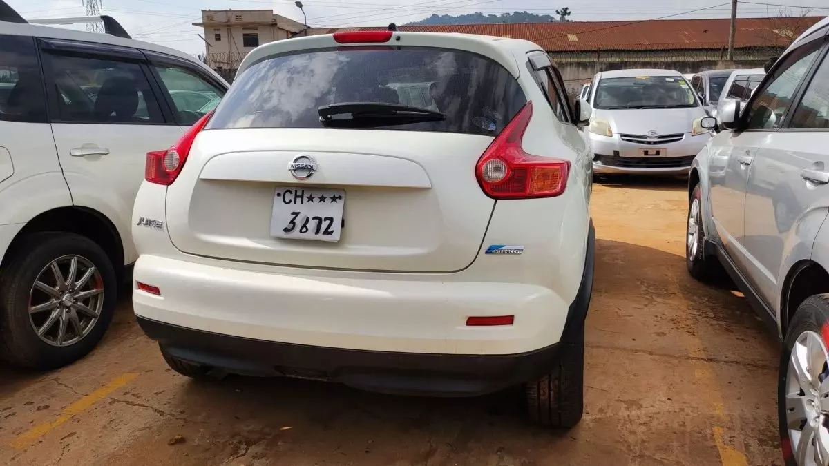 car Back