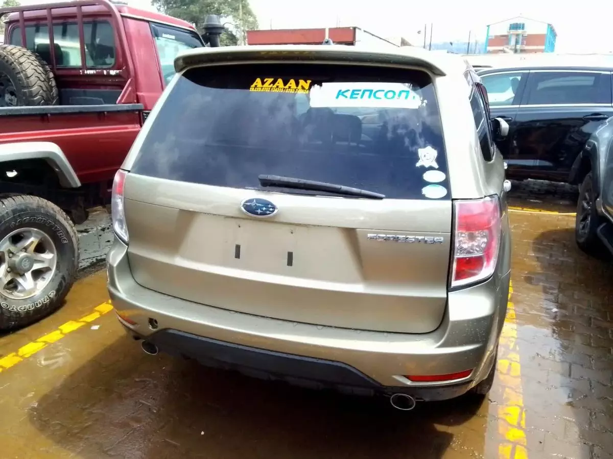 car Back