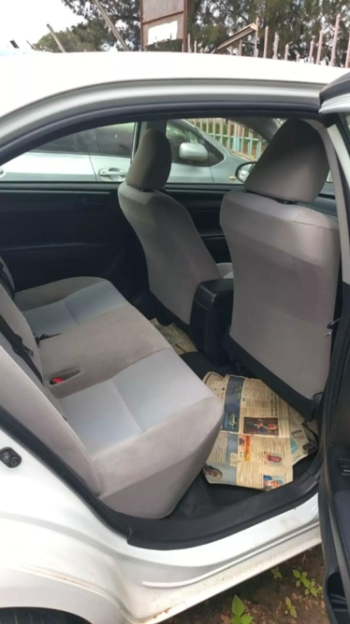 interiorBack