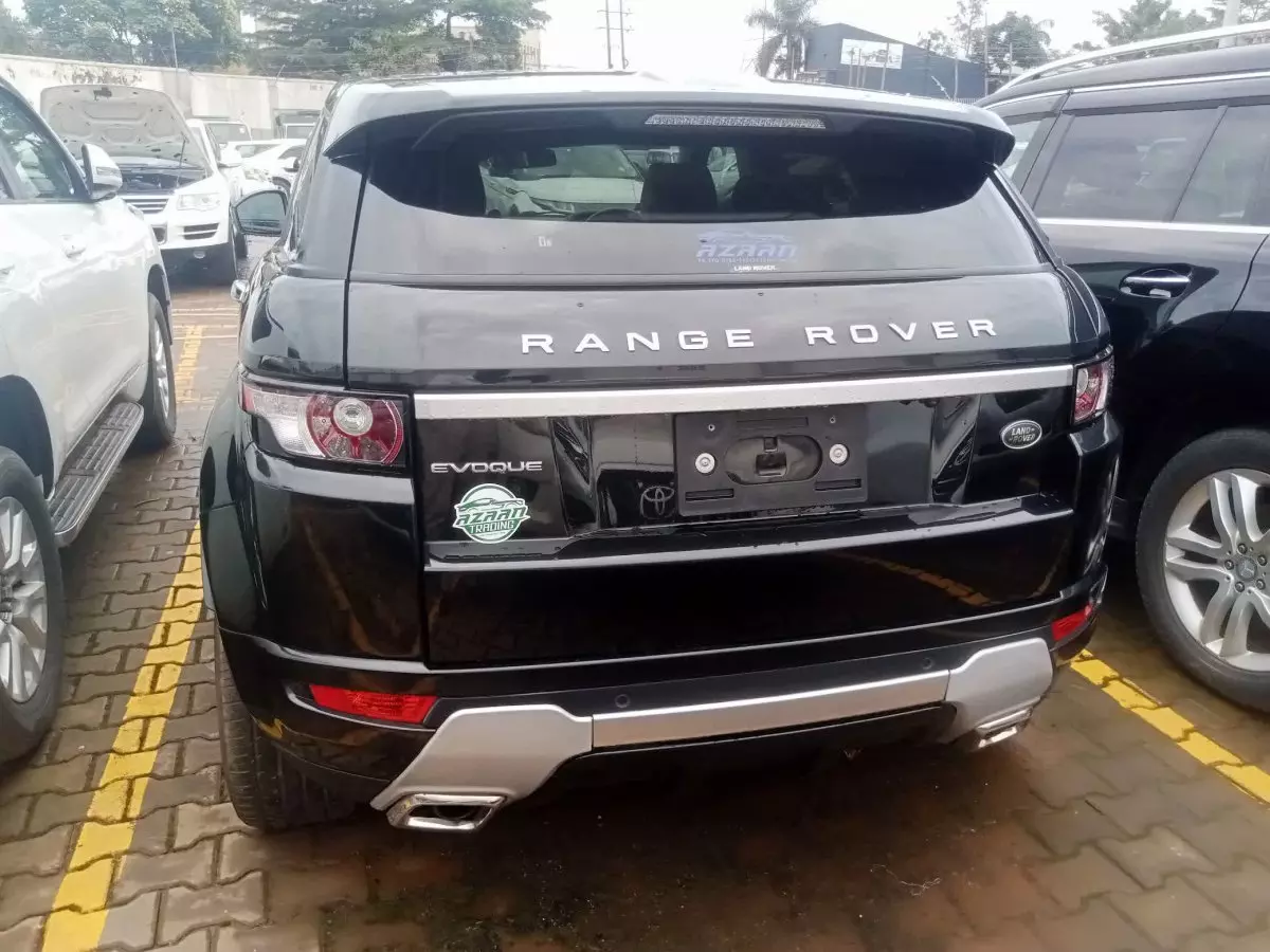 car Back