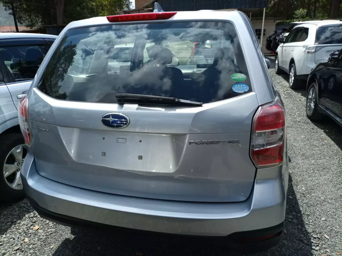 car Back