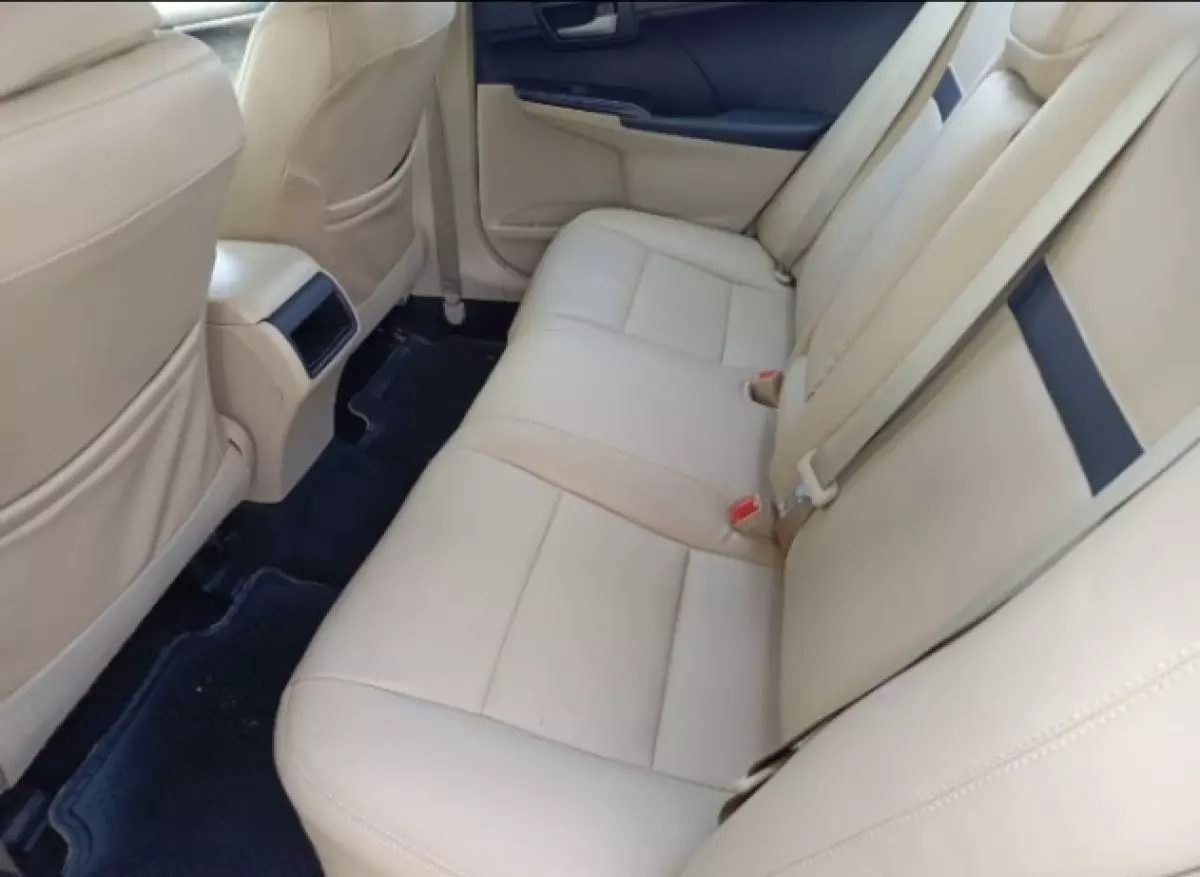 interiorBack