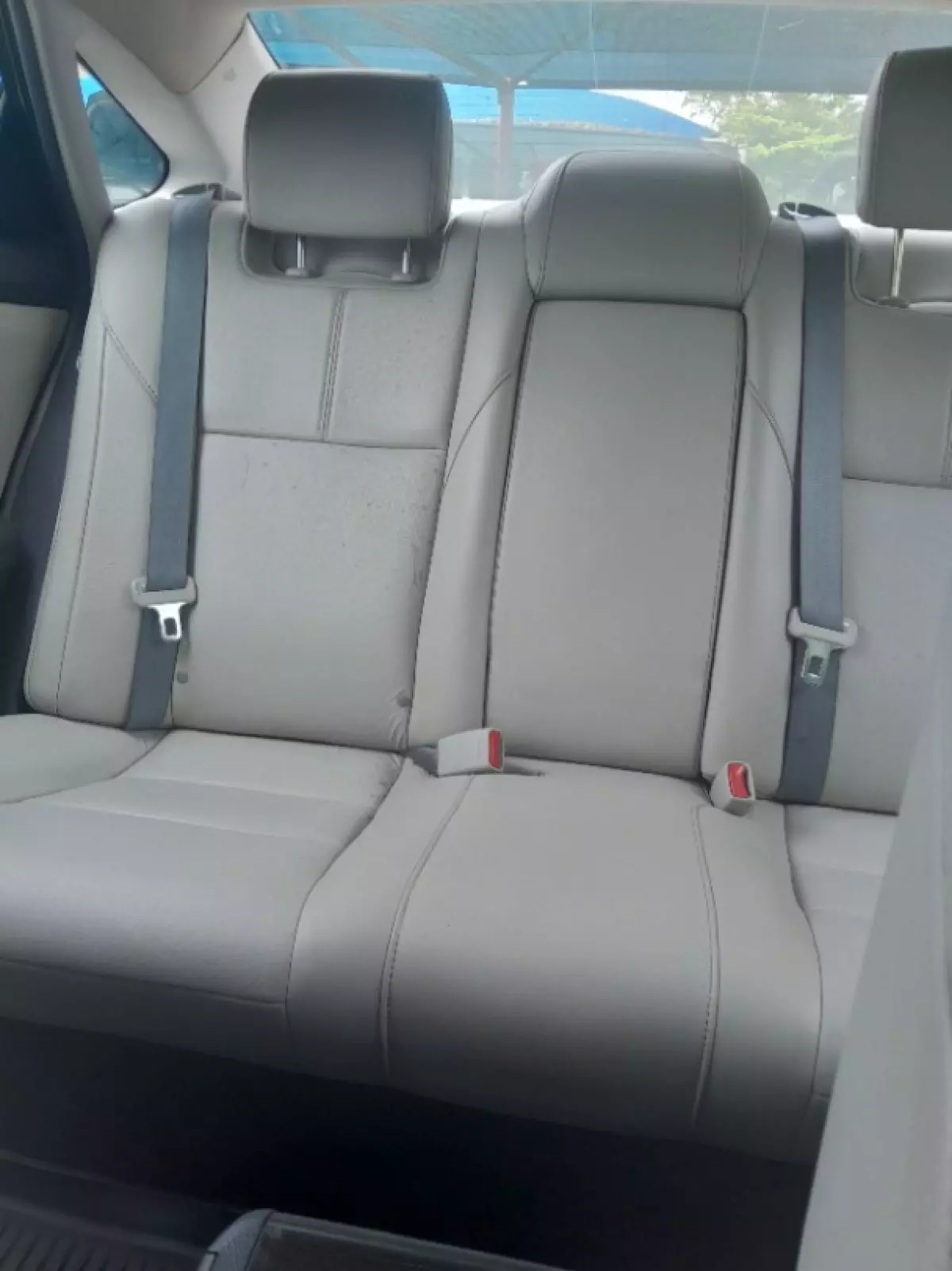 interiorBack