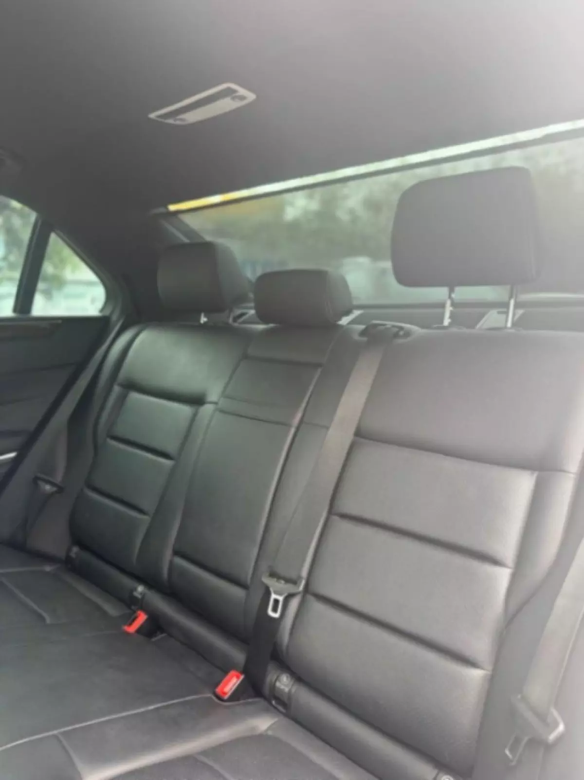 interiorBack