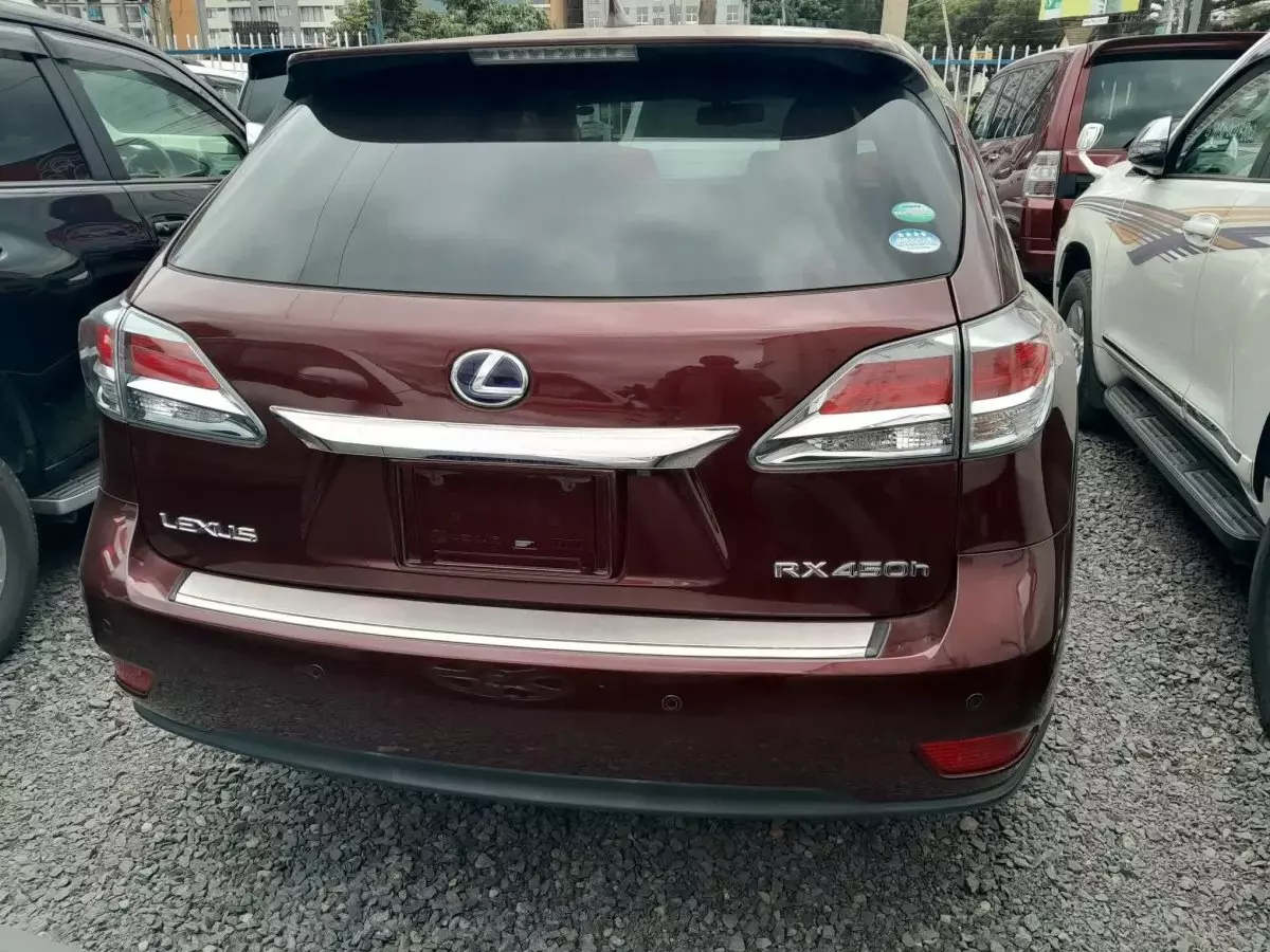 car Back