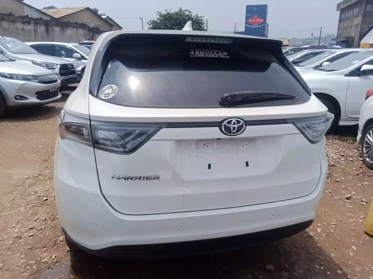 car Back