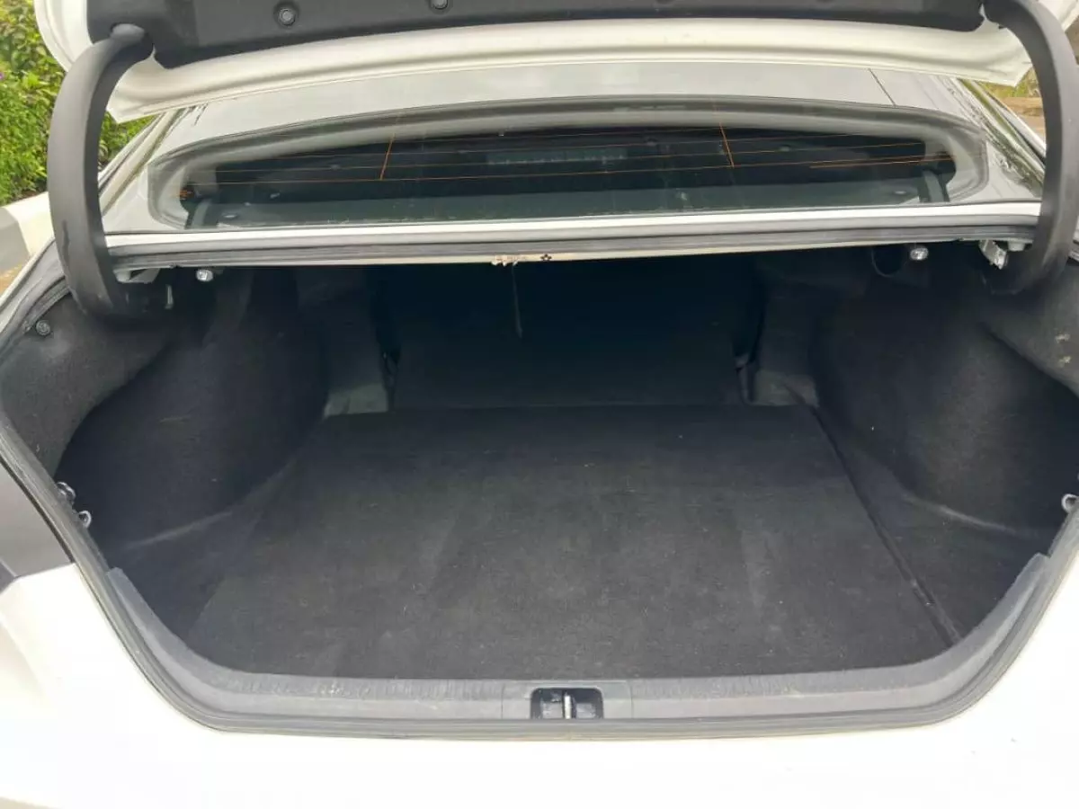 trunk