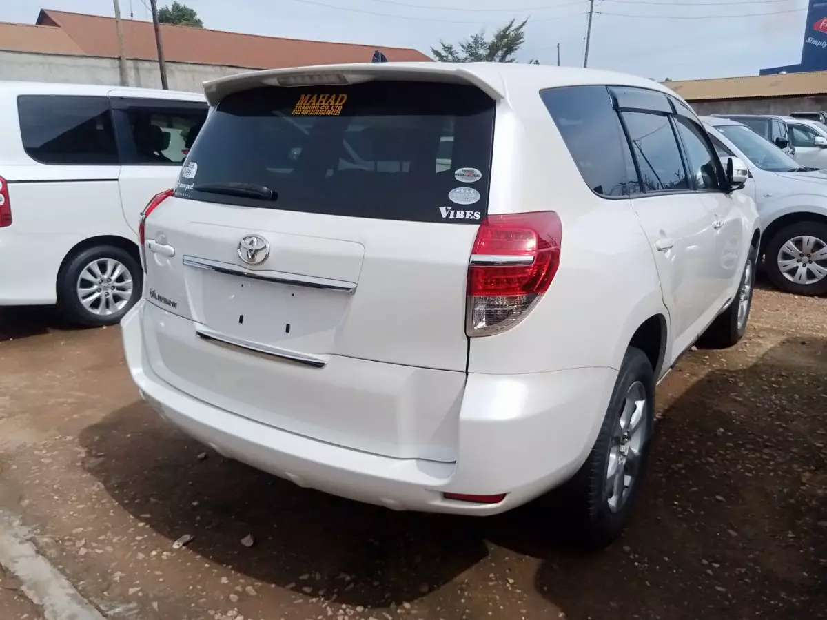 car Back