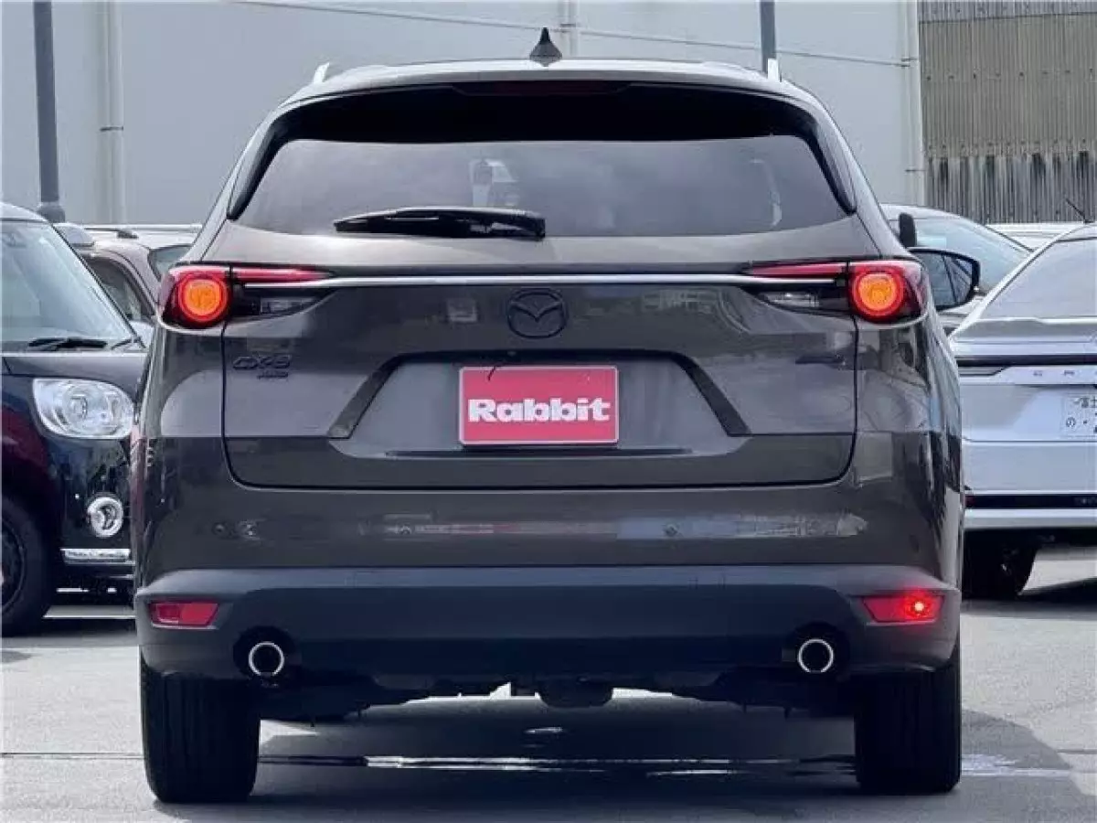 car Back
