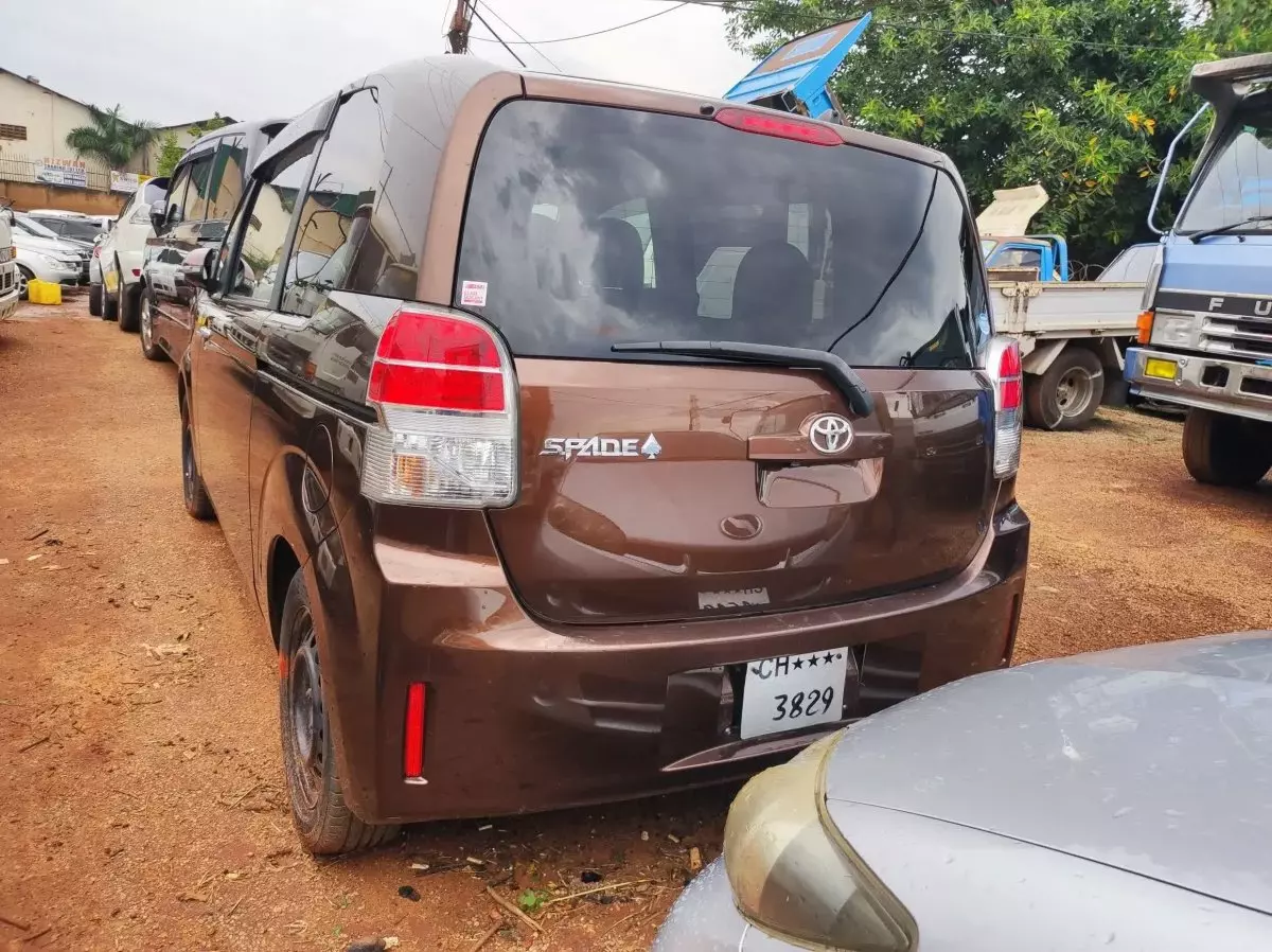 car Back