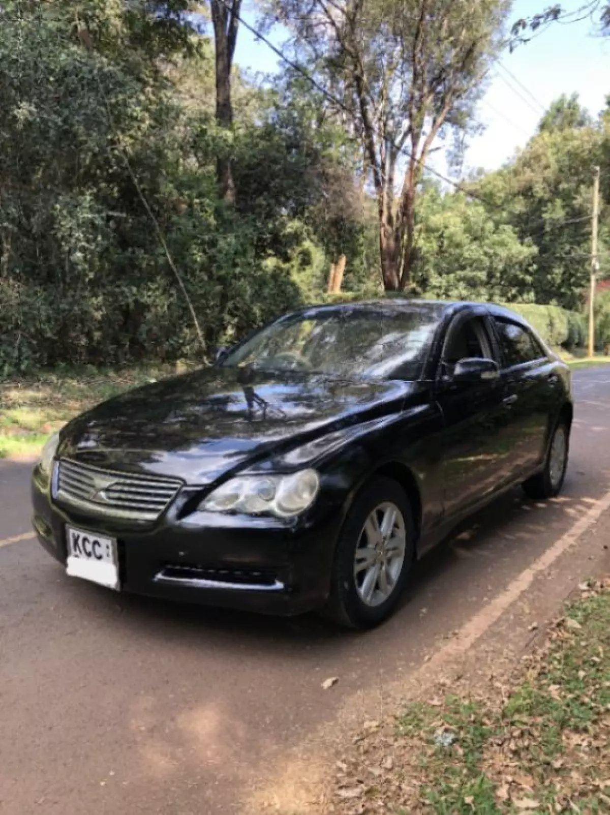 Toyota Mark X - 2008