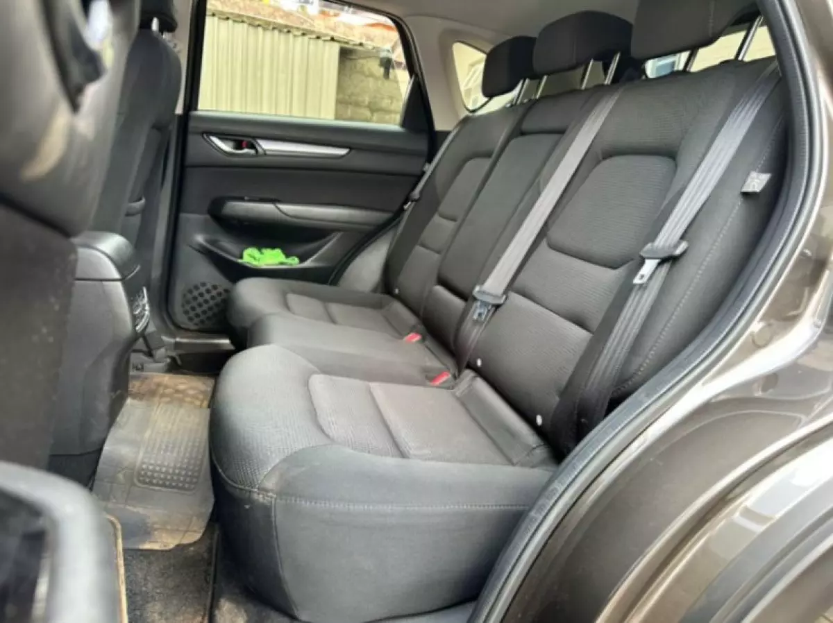 interiorBack