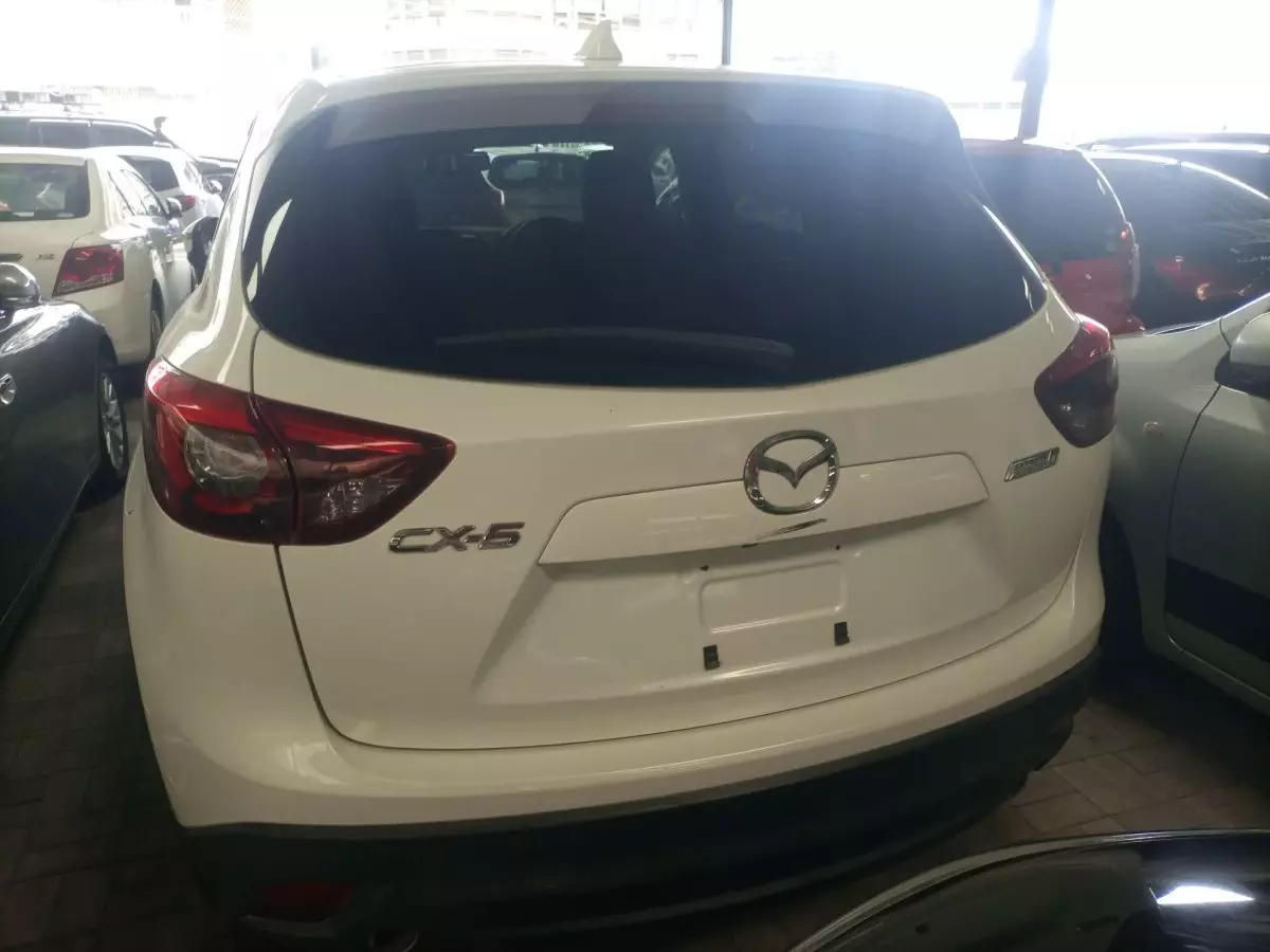 car Back