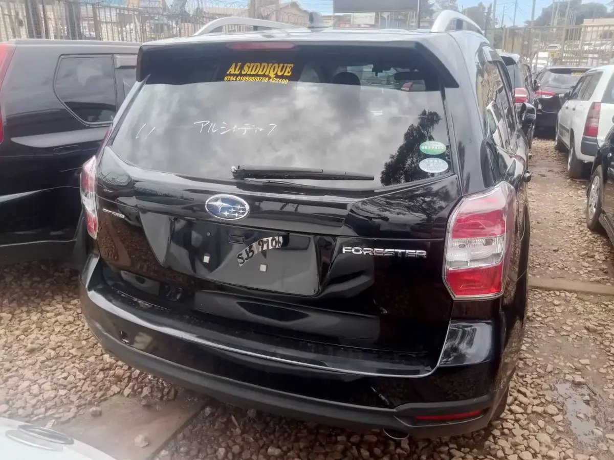car Back
