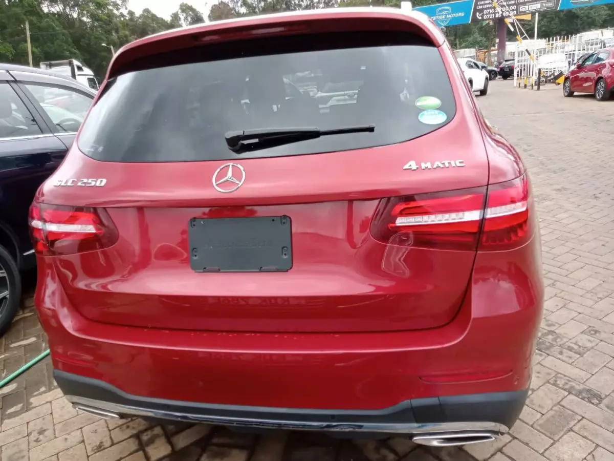 car Back