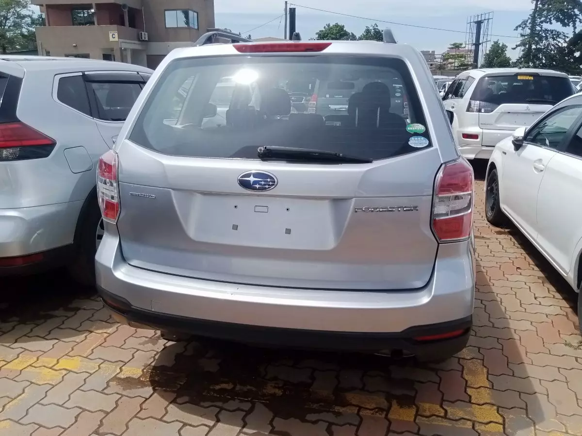 car Back