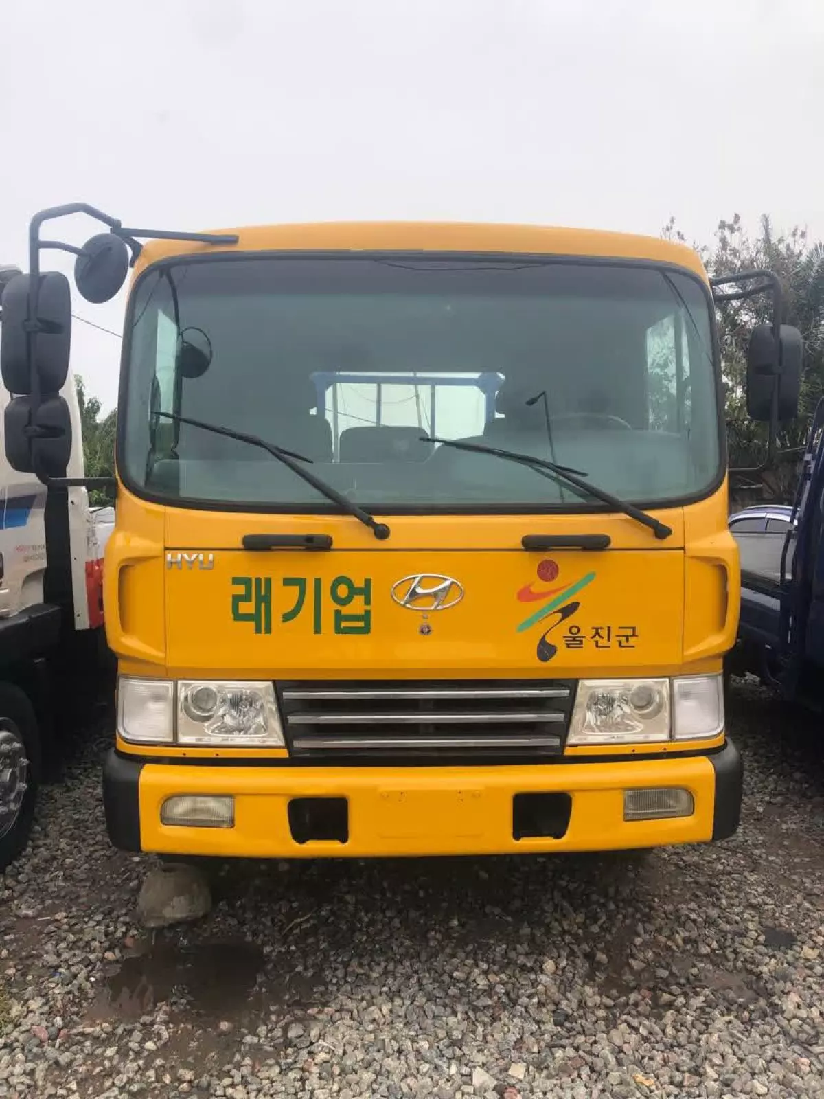 Hyundai Rhino - 2004