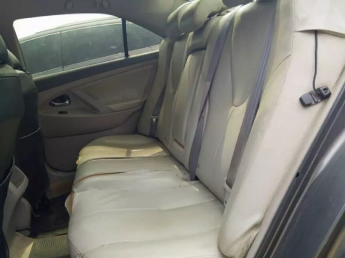 interiorBack