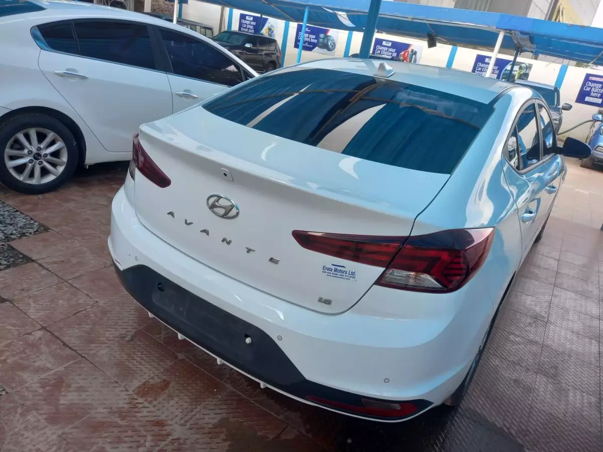car Back