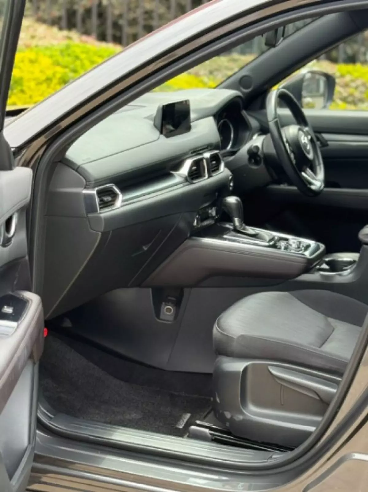 interiorBack