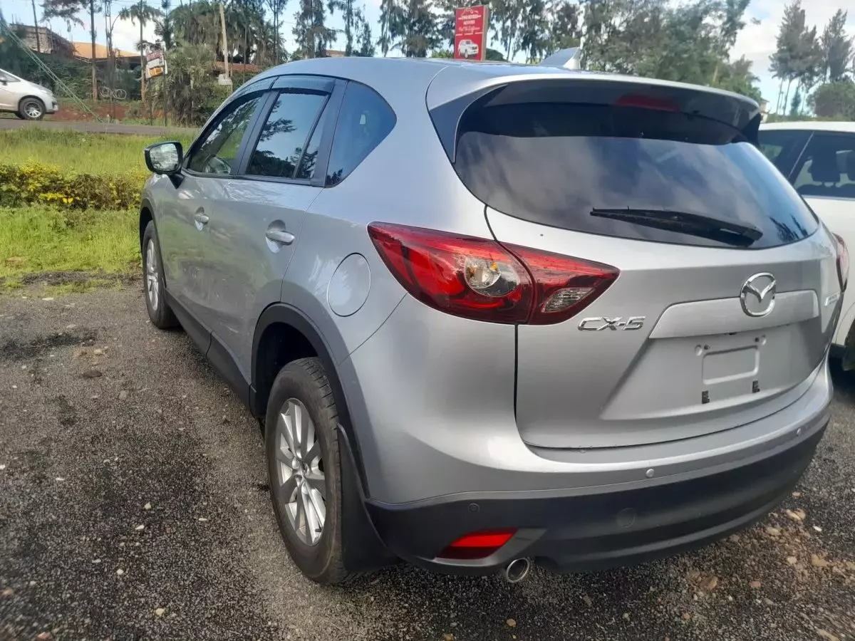 car Left Back
