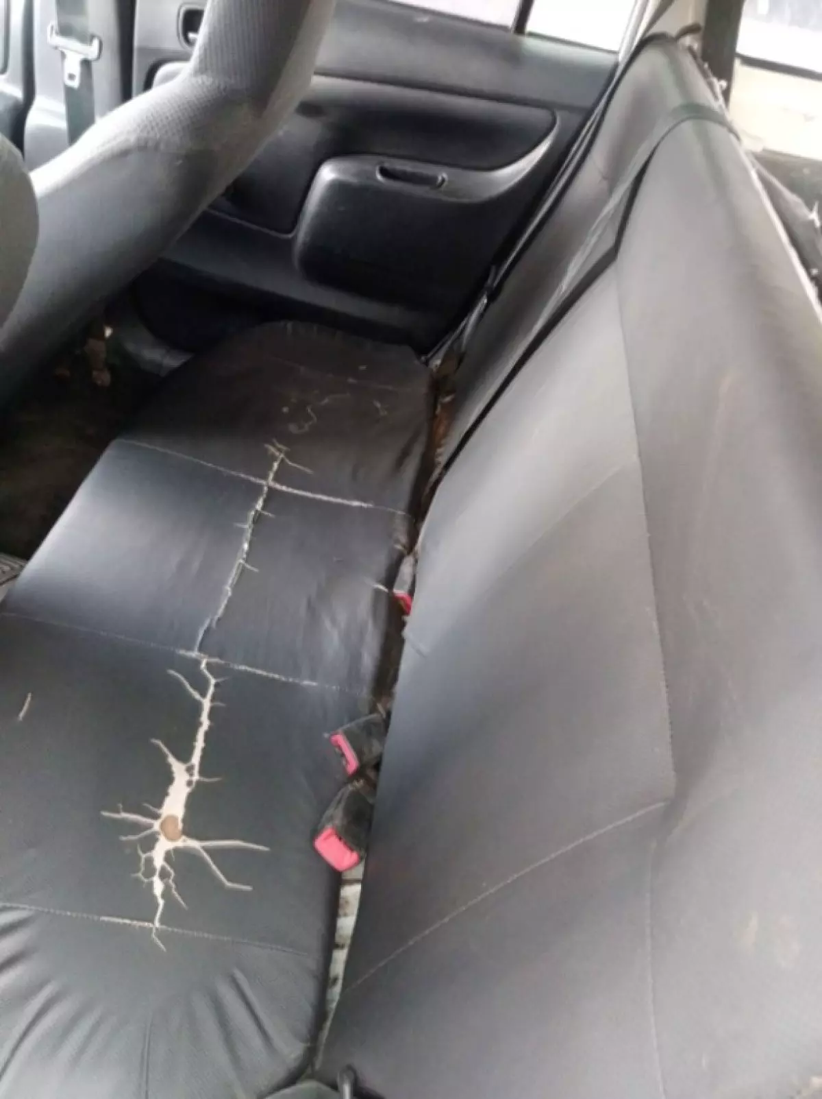 interiorBack