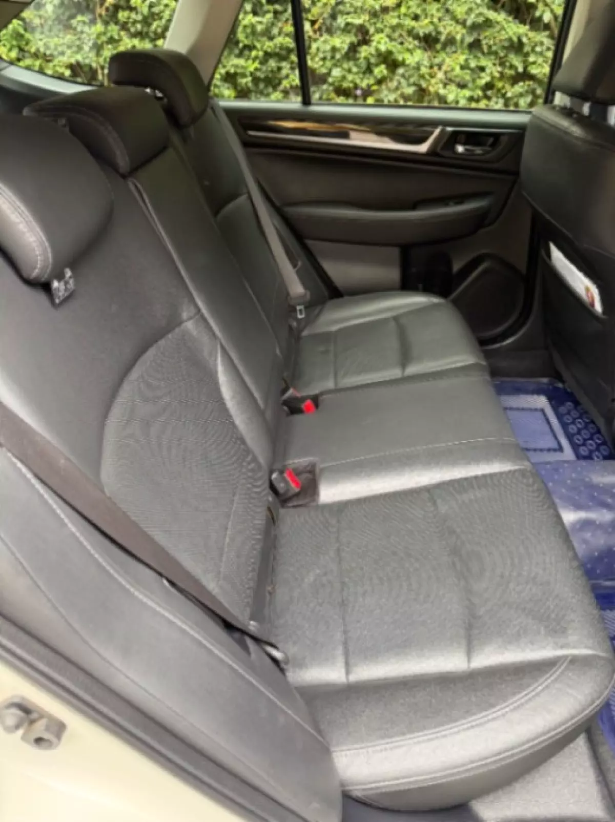 interiorBack