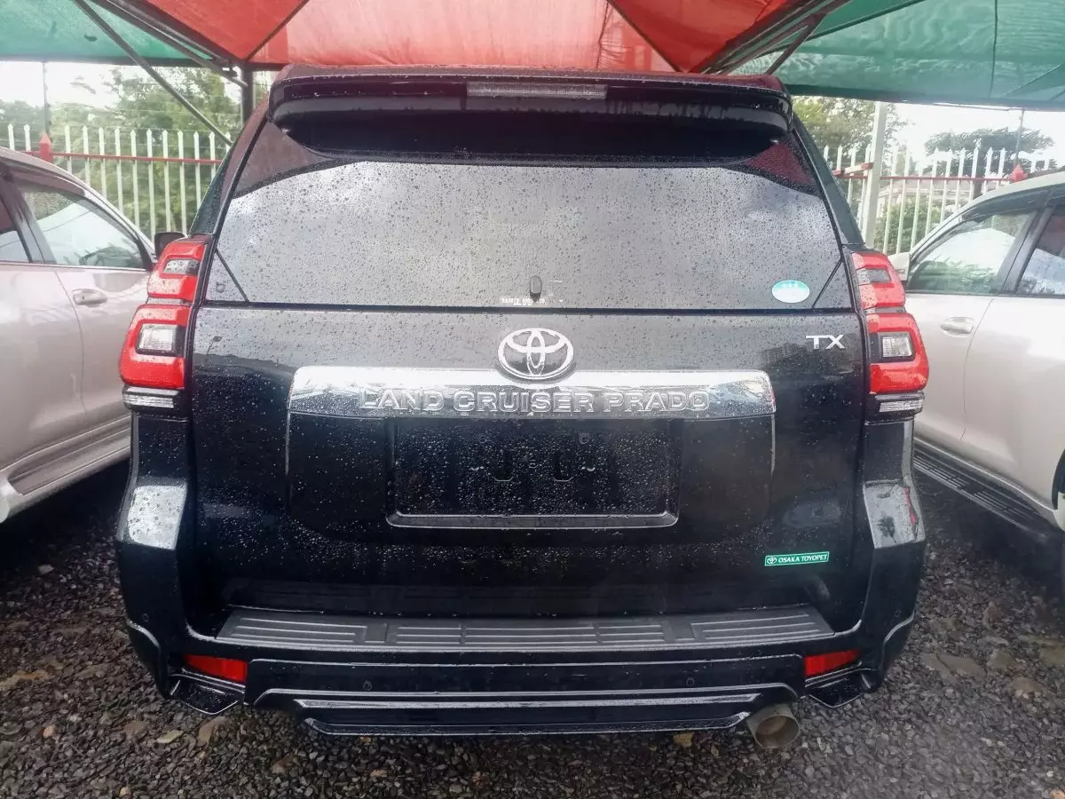 car Back